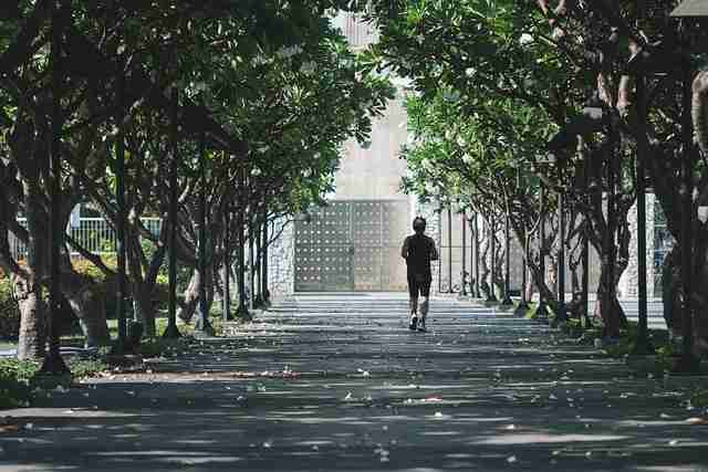 2023-02 鉴黄师电脑版经典回顾：生态布局彩蛋合集  第2张